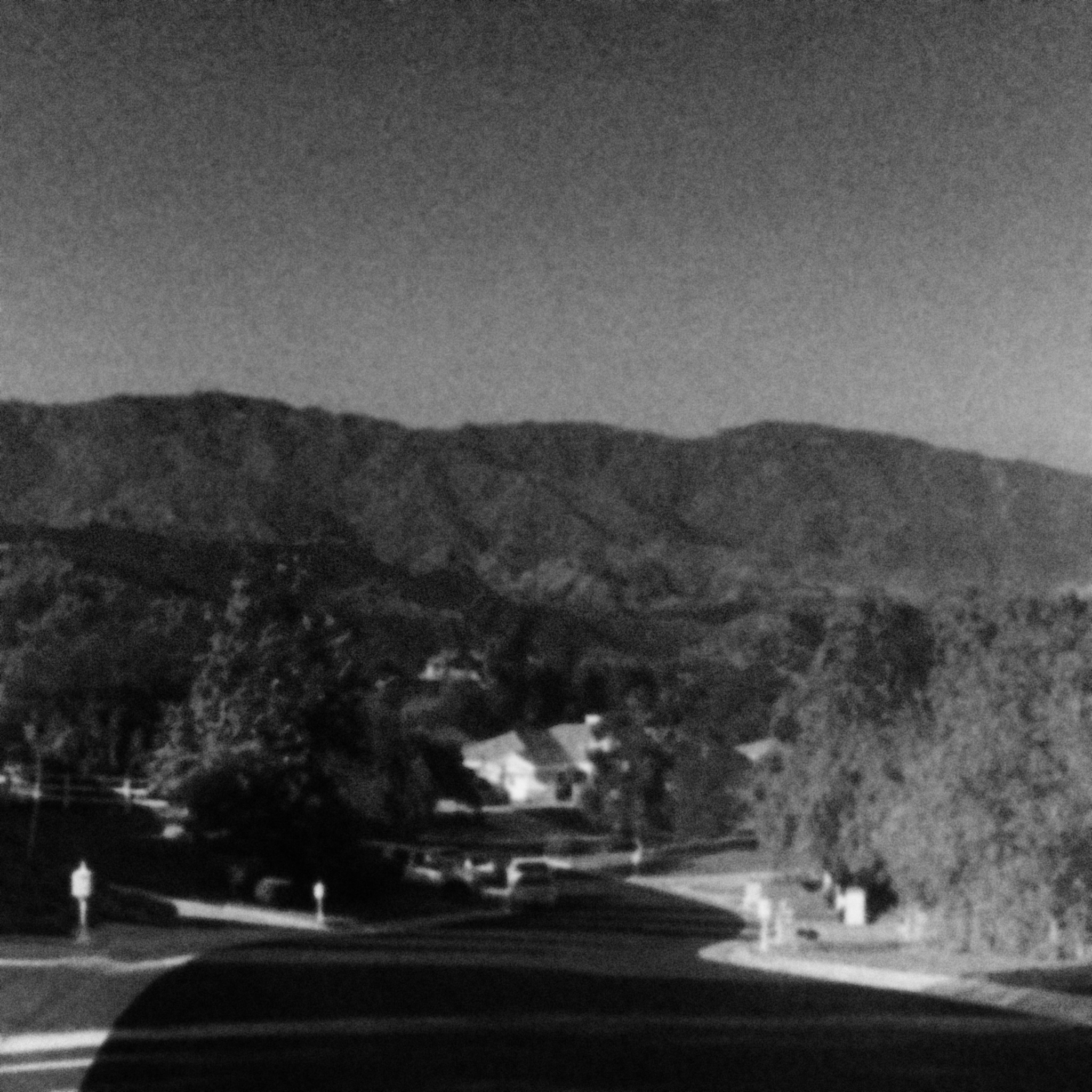 Youth Paramilitary Organization